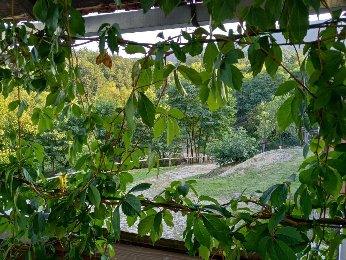 Country House Roman 多博伊 外观 照片