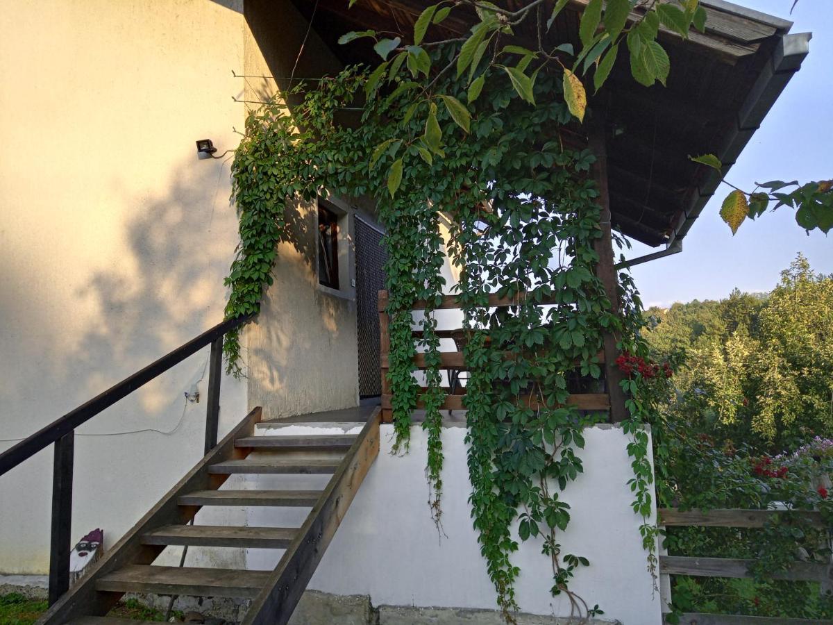 Country House Roman 多博伊 外观 照片